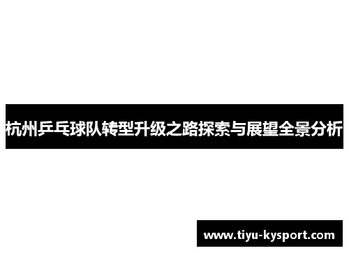 杭州乒乓球队转型升级之路探索与展望全景分析