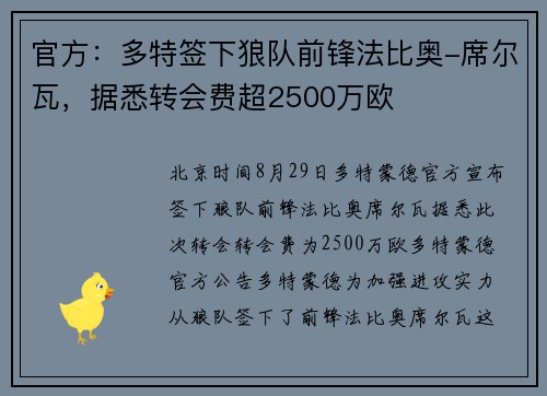官方：多特签下狼队前锋法比奥-席尔瓦，据悉转会费超2500万欧
