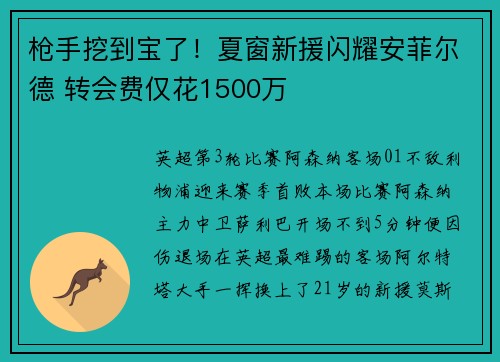 枪手挖到宝了！夏窗新援闪耀安菲尔德 转会费仅花1500万